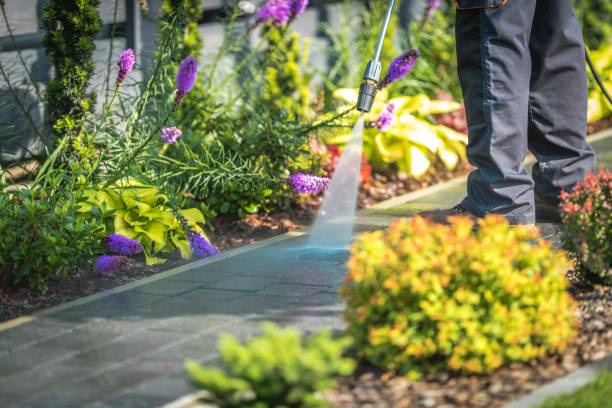 Trusted Marion, WI Pressure Washing Services Experts